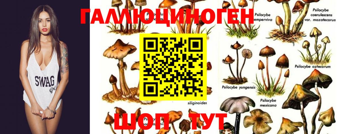 Галлюциногенные грибы ЛСД Губкинский