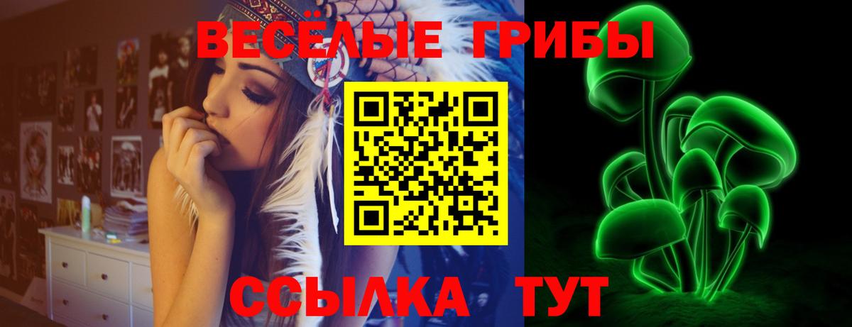Губкинский  Псилоцибиновые грибы мухоморы  Вход с VPN 
